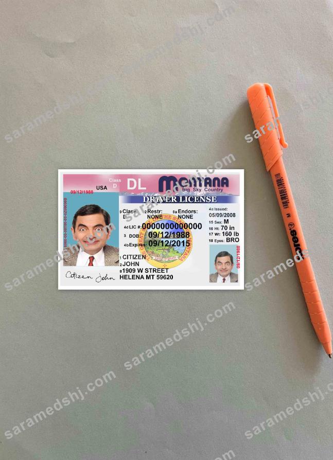 USA Montana driving license version 2 photolook FRONT